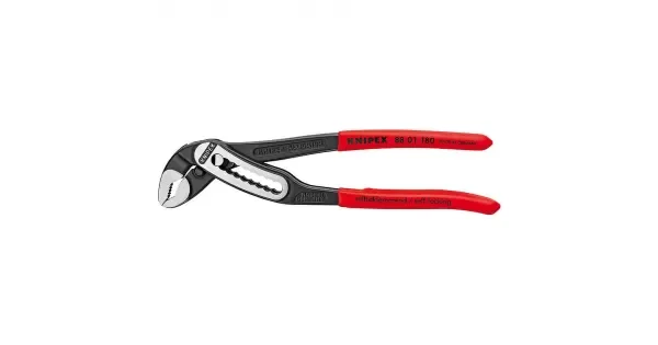 peddy-3005075