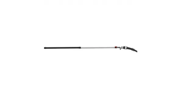 peddy-3009951