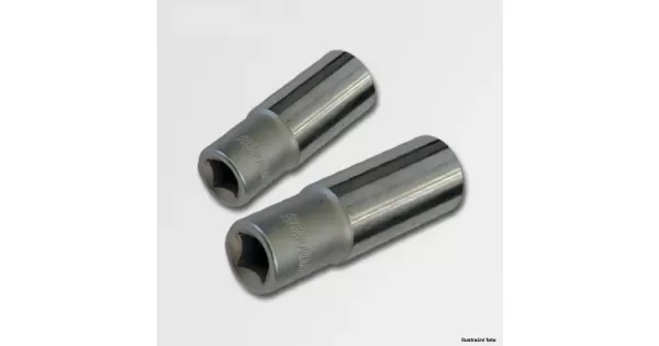 peddy-3030406