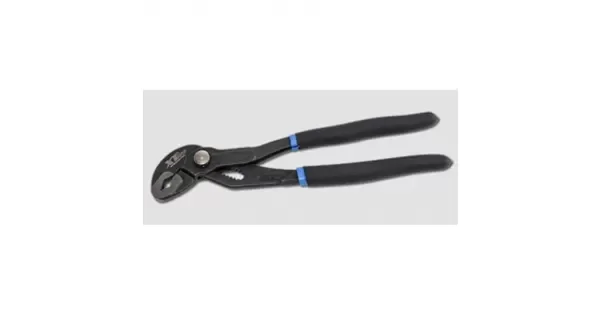 peddy-3031906