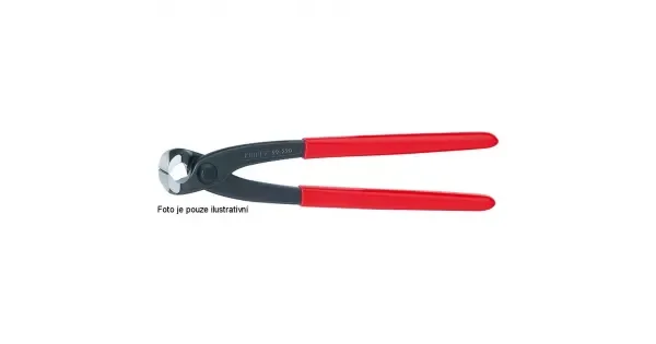 peddy-3035263