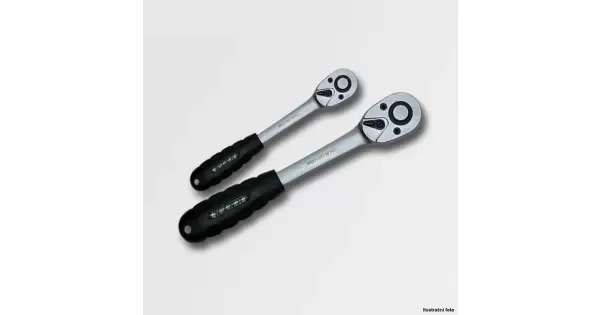 peddy-3041226