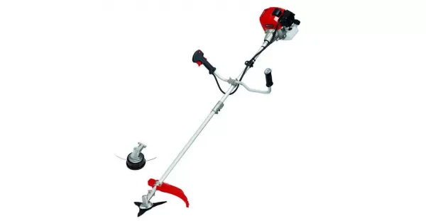 peddy-3056290