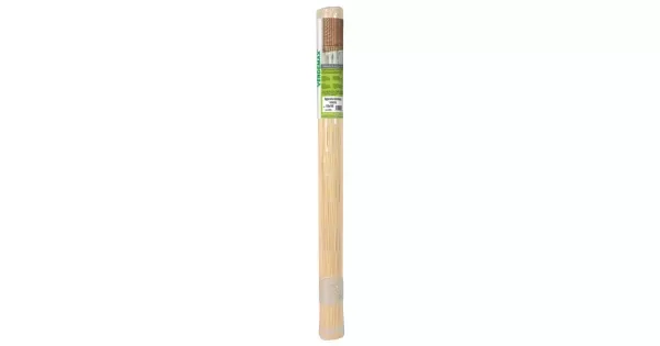 peddy-3057106