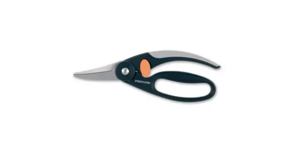peddy-3067729