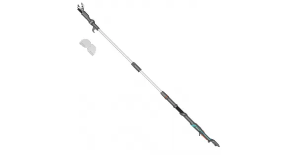 peddy-3074302