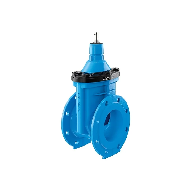 pkvplus-2829295